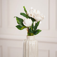 Japanese Peony Spray, CREAM