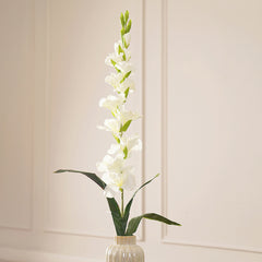 Set of 2 Gladious Ivory Stem