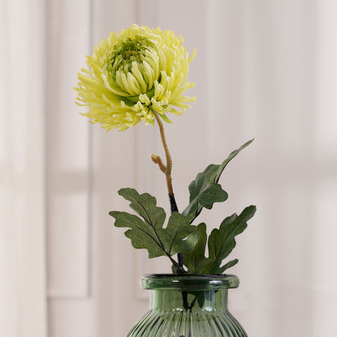 Set of 2 Chrysanthemum Green Stem
