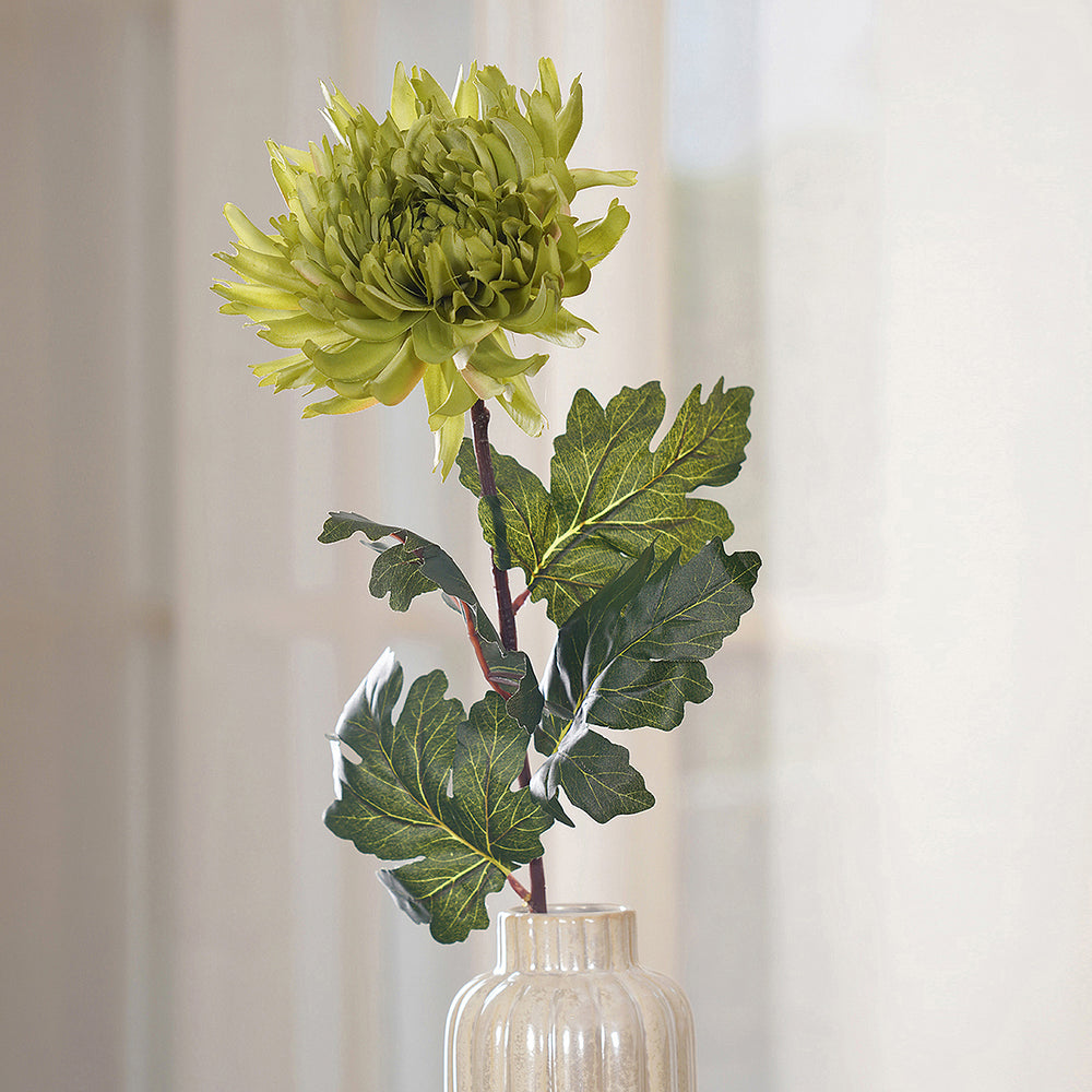 Set of 2 Chrysanthemum Green Stem