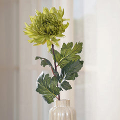 Set of 2 Chrysanthemum Green Stem