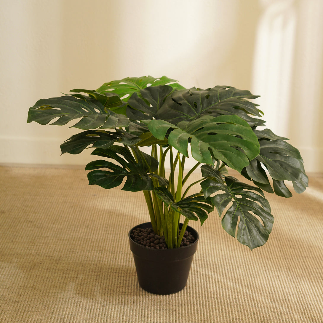 monstera plant online india Shop Green Artificial Monstera Potted Plant