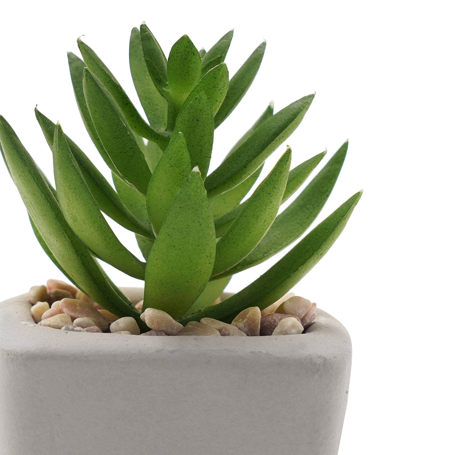 Shop Set Of 4 Green Faux Succulent With Cement Pot - at Best Price