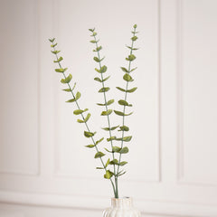 Eucalyptus Green Spray