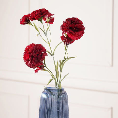 Red Carnation Flower Stem