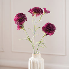 Plum Carnation Flower Stem