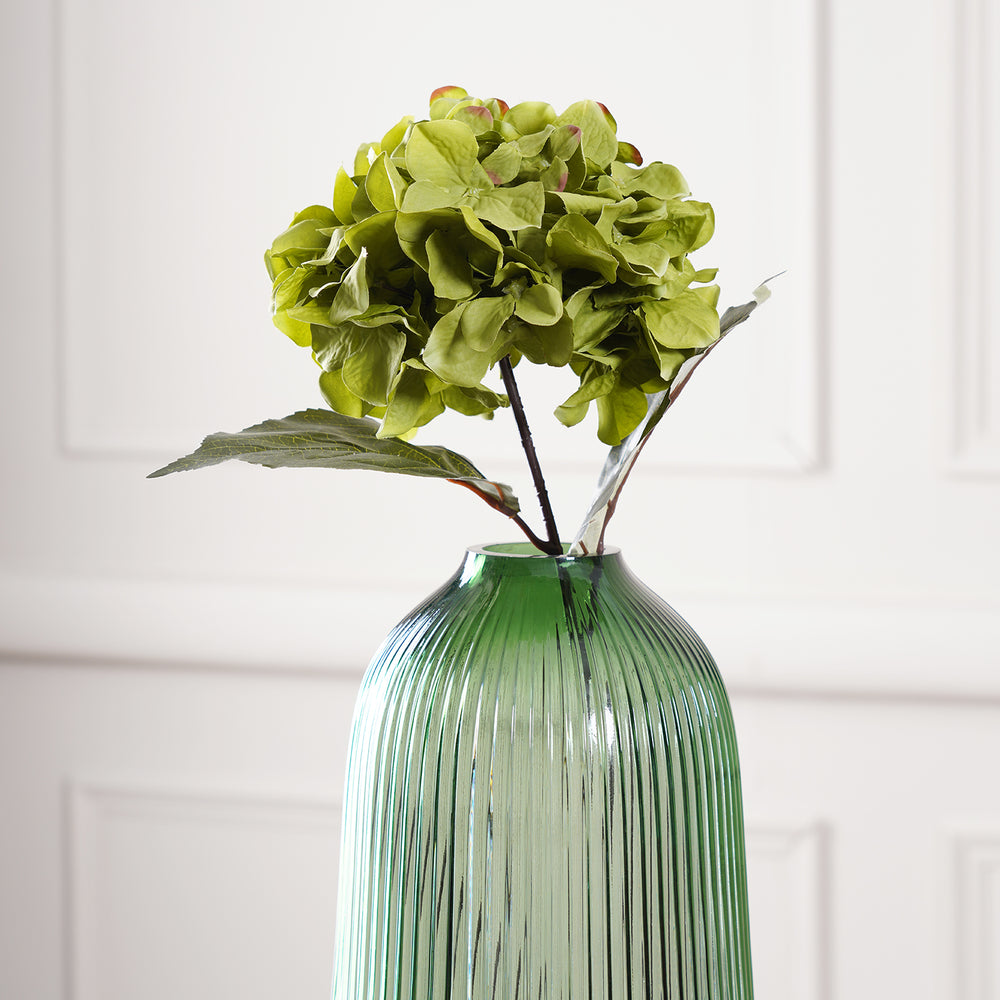 Green Hydrangea Flower Stem