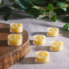 Set of 4 Summar Sand Shell T-Light Candles