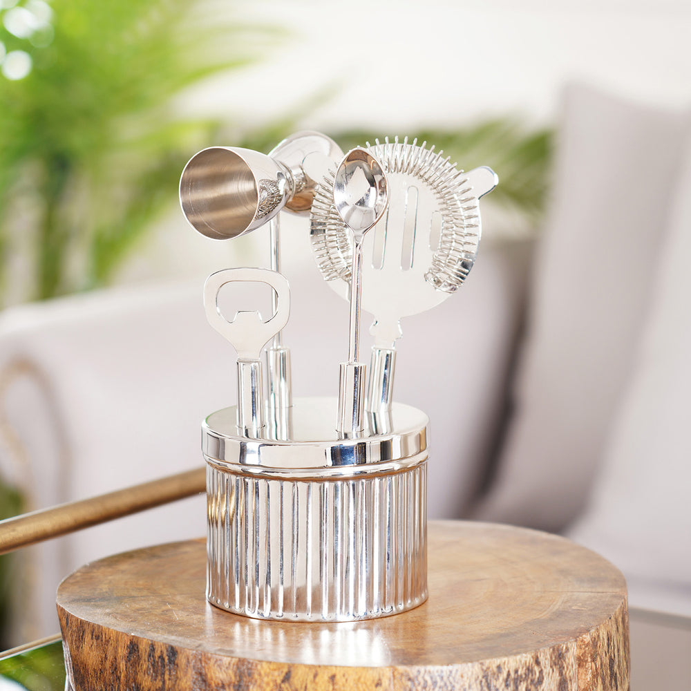 Aiden Silver Ribbed Bar Tool Set with Base