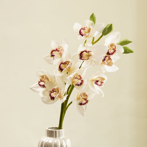 White Faux Boat Orchid Spray Single