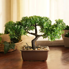 Green Faux Bonsai with Plastic Pot