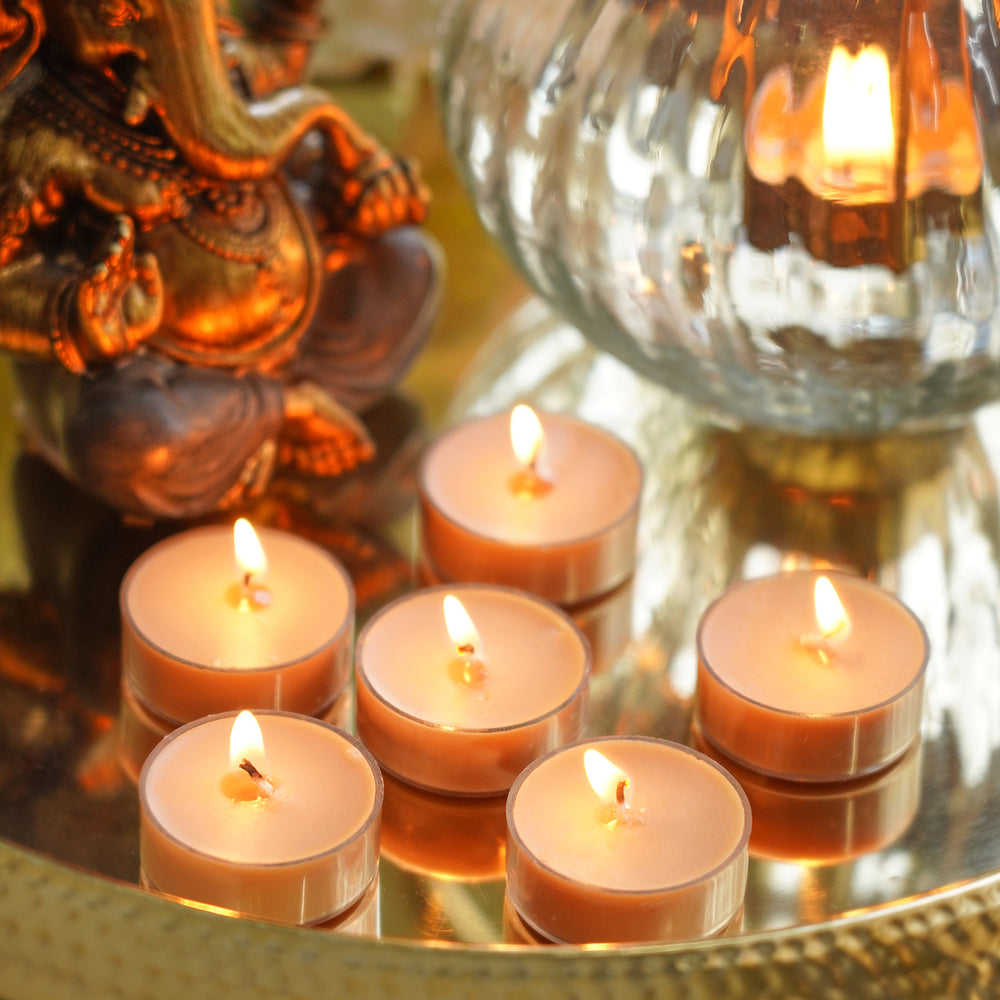 Set of 24 Beige White Jasmine T-Light Candles