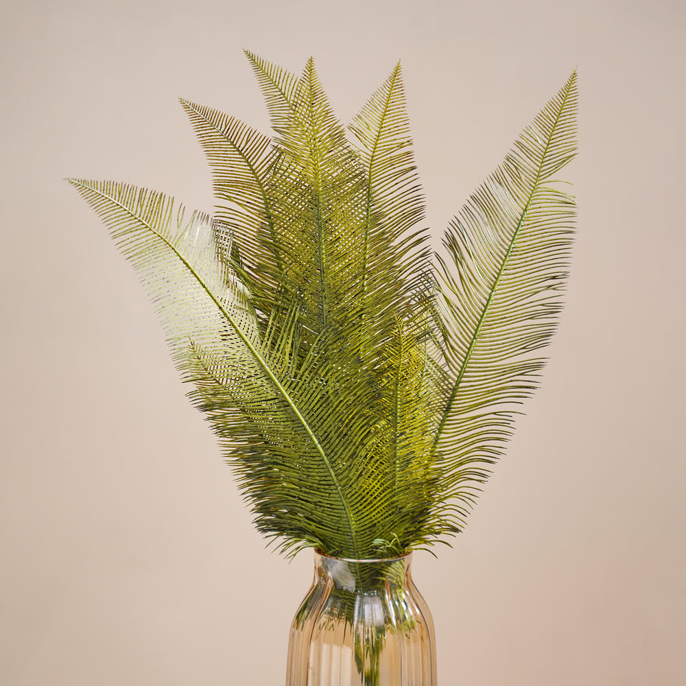 Green Fern Bush