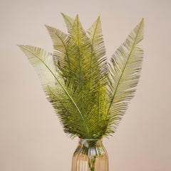 Green Fern Bush
