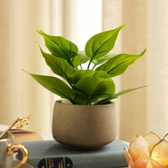 Green Artificial Plant with Pot