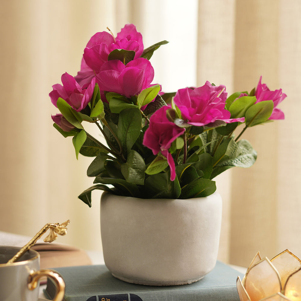 Pink Artificial Azalea Plant with Cement Pot