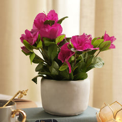 Pink Artificial Azalea Plant with Cement Pot