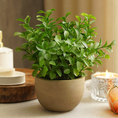 Green Artificial Melia Azedarach Plant with Pot