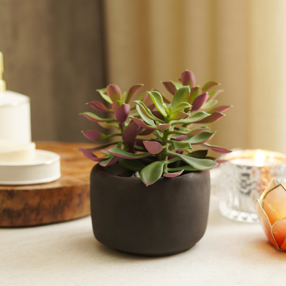 Green Artificial Succulent with Cement Pot