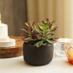 Green Artificial Succulent with Cement Pot