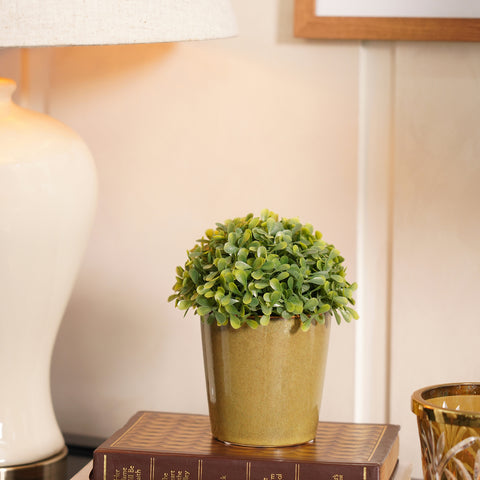 Set of 2 Beige Ceramic Pots - Small