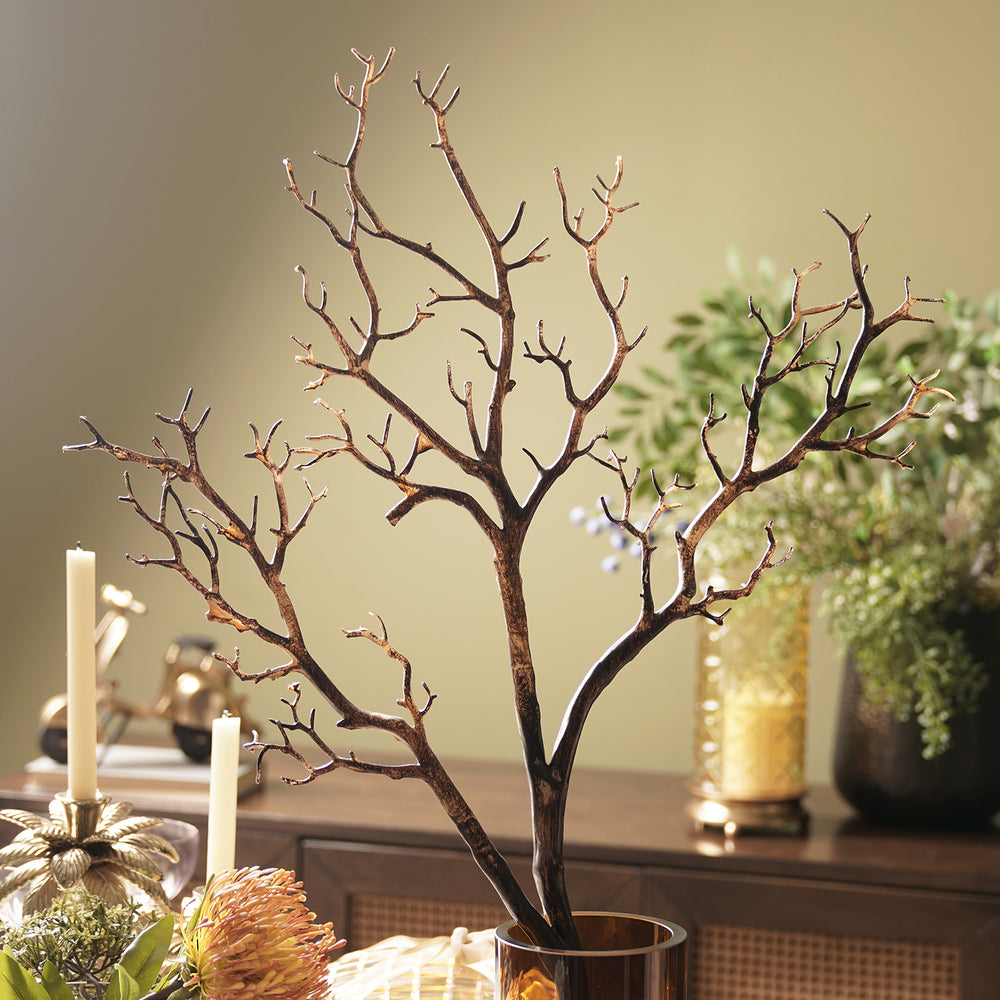 Brown Dry Stem