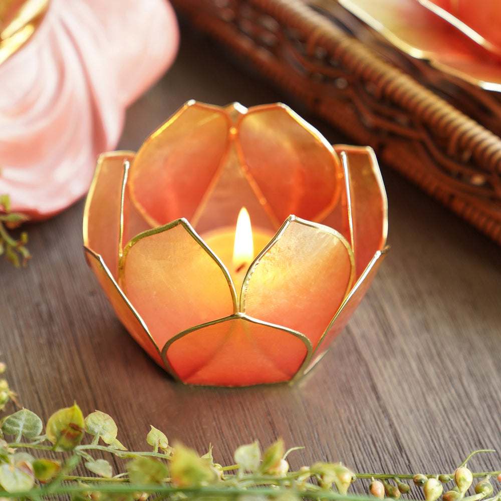 Pink & Green Ombre 12 Petals Capiz tealight Holder