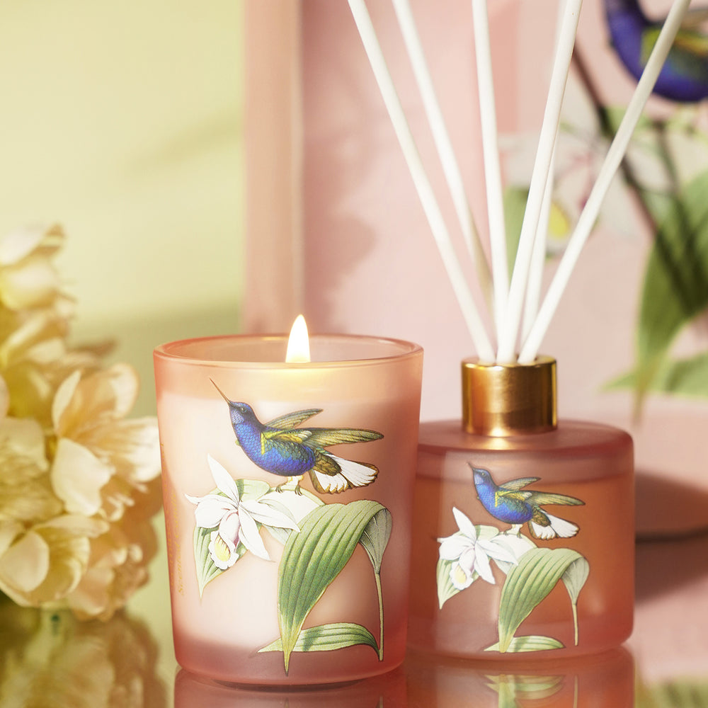 Pink Jasmine & Garland 
Candle & Diffuser Set