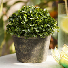 Green Artificial Camillia Leaves with Pot