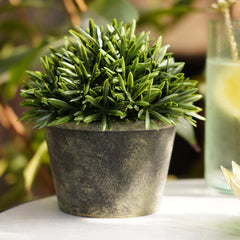 Green Artificial Rosemary with Pot