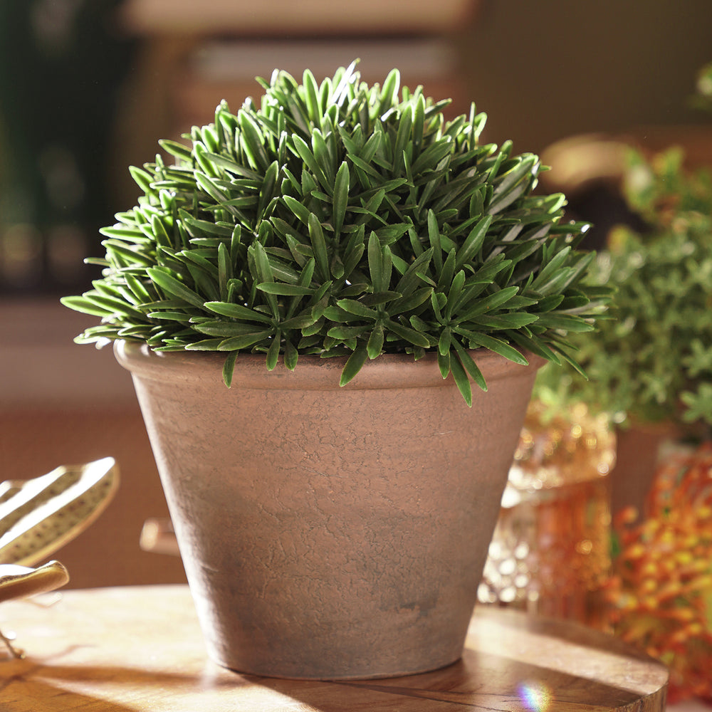 Green Artificial Fern Pine Plant with Cement Pot - Small