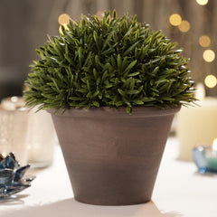 Green Artificial Fern Pine Plant with Cement Pot - Large