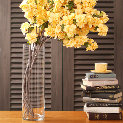 Clear Cylindrical Glass Vase - Extra Large