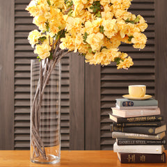 Clear Cylindrical Glass Vase - Extra Large