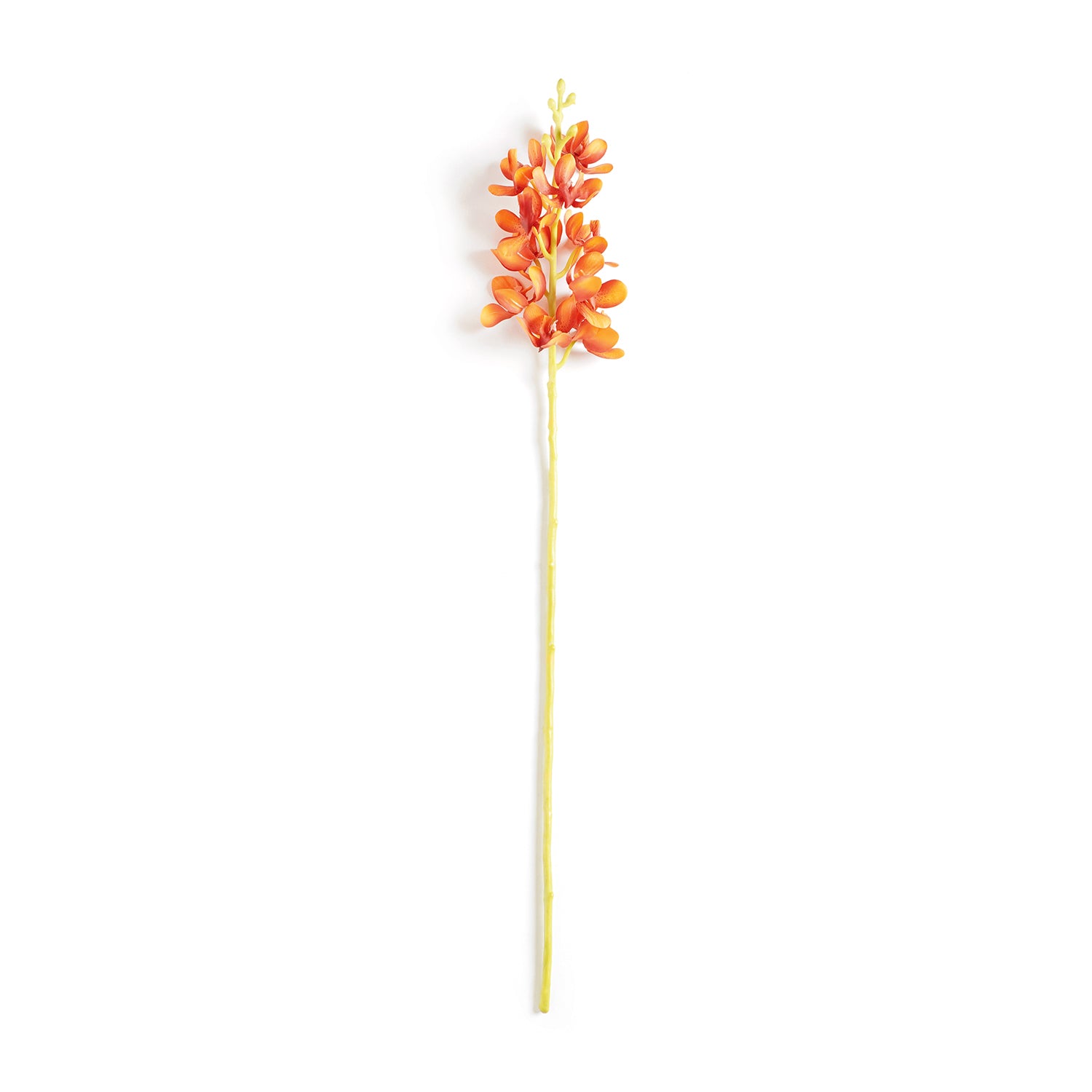 Shop Dark Orange Vanda Orchid Artificial Stem - Single - at
