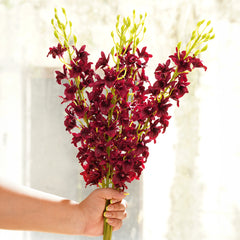 Dark Purple Artificial Orchid Stem - Single