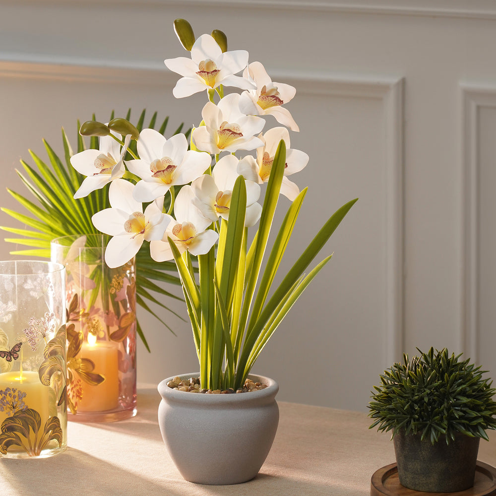 Ivory Artificial Cymbidium in Cement Pot