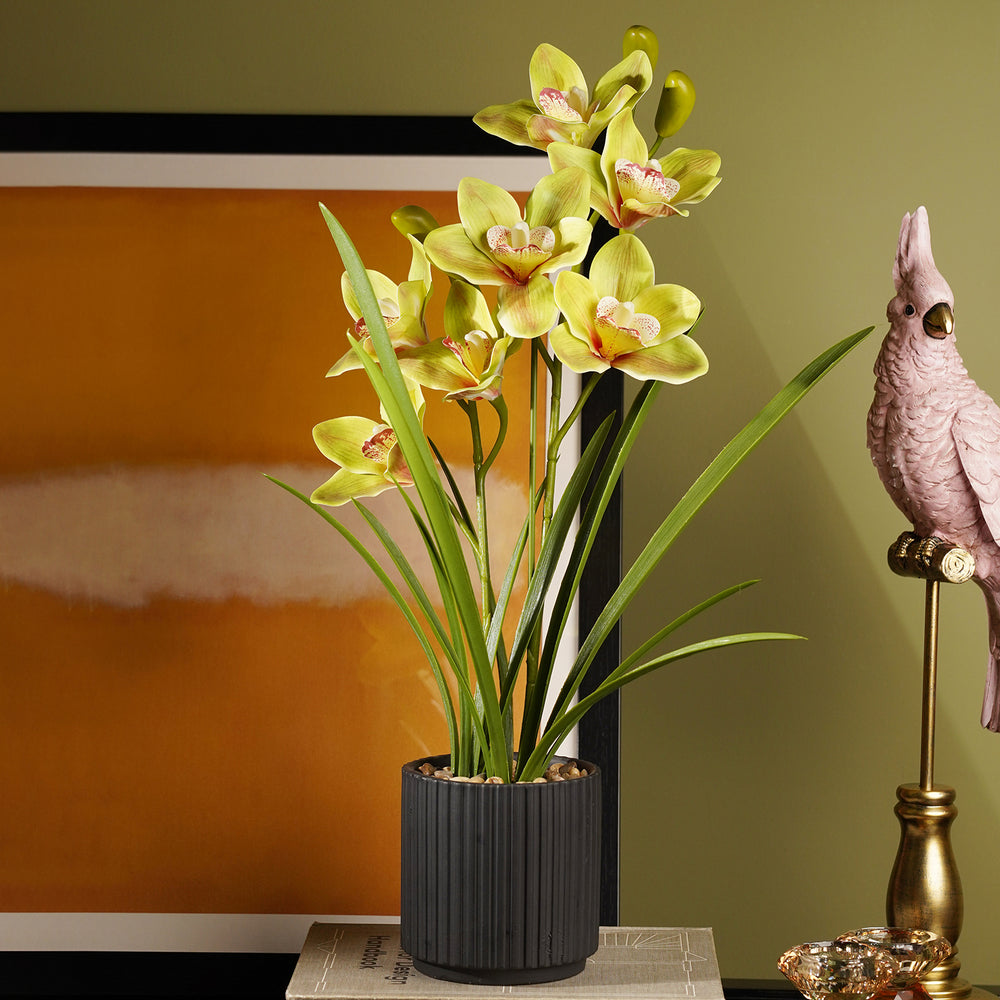Green Artificial Cymbidium in Ceramic Pot