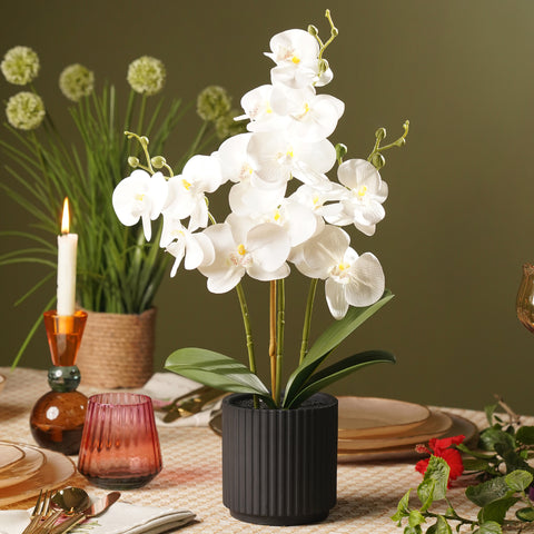 Ivory Artificial Orchid in Ceramic Pot