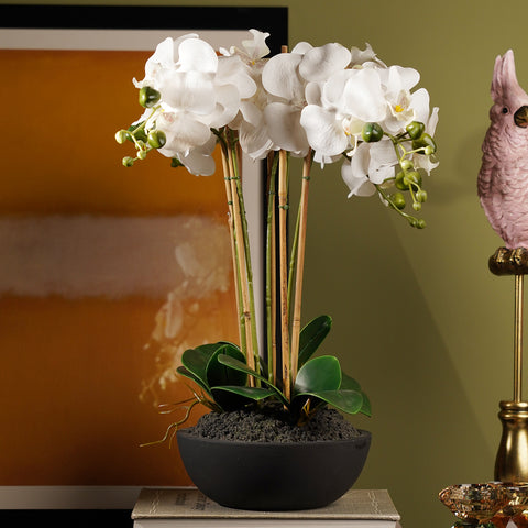 White Artificial Orchid in Paper Mache Pot - Large