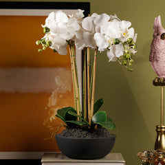 White Artificial Orchid in Paper Mache Pot - Large