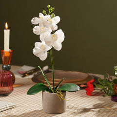White Artificial Orchid in Cement Pot