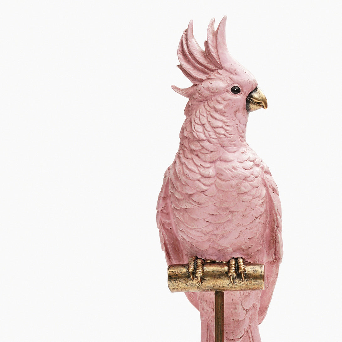 Shop Pink Polyresin Exotic Parrot with Stand at Best Price