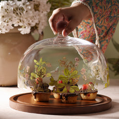 Clear Painted Cloche with Wooden Base