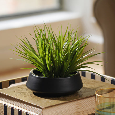 Green Artificial Grass in Cement Pot - Medium