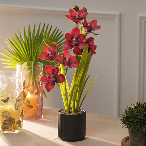 Red Artificial Cymbidium in Ceramic Pot