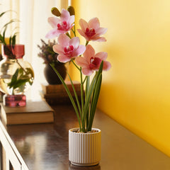 Light Pink Artificial Cymbidium Potted Plant