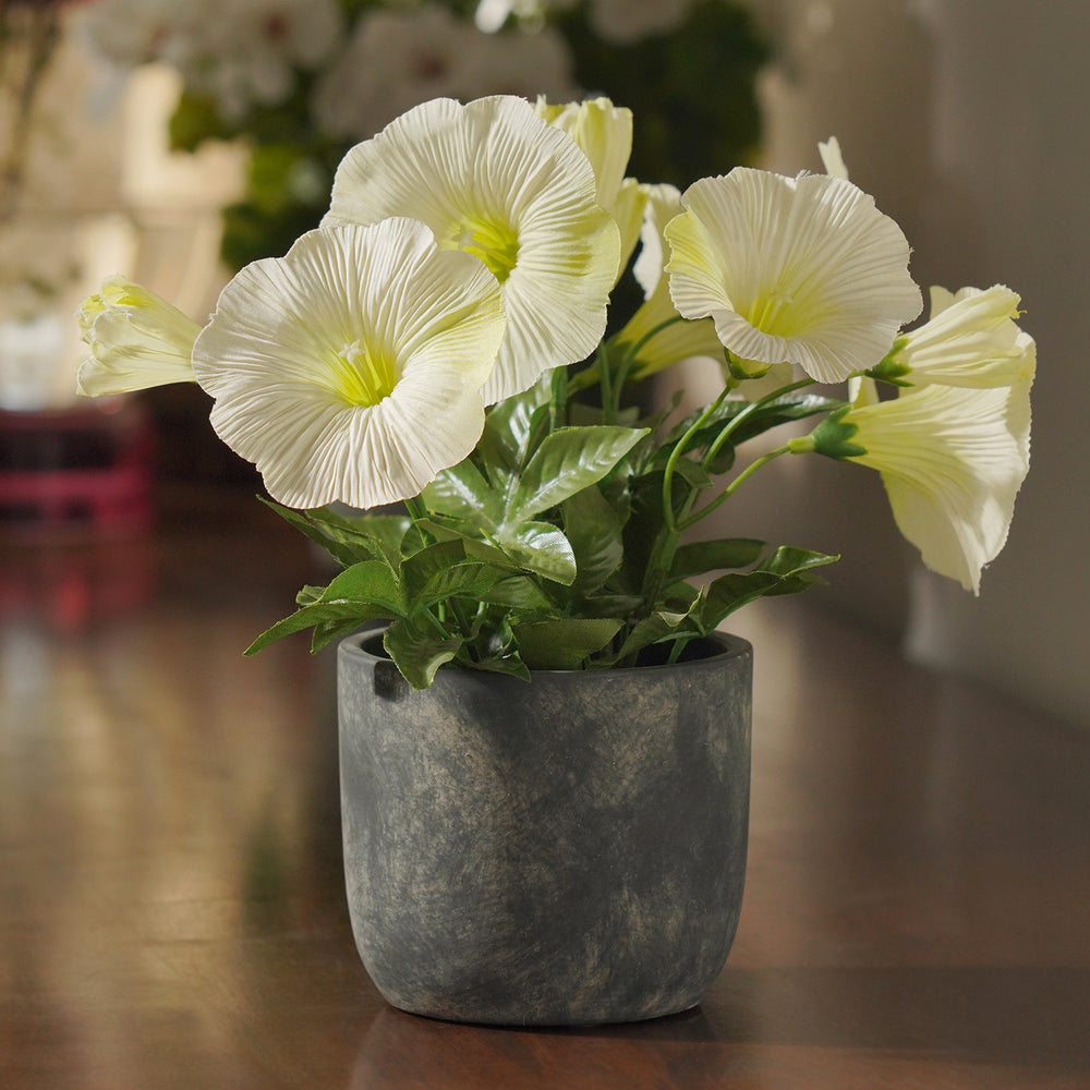 Ivory Artificial Petunia Potted Plant