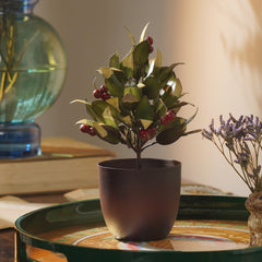 Red Olive Metal Plant