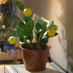 Yellow Lemon Metal Plant